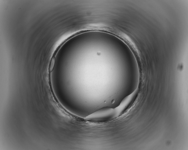X0000099451336200805091457