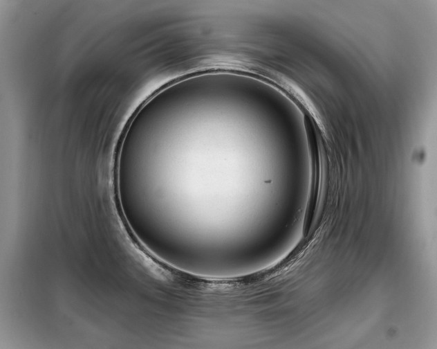 X0000099451339200805091458