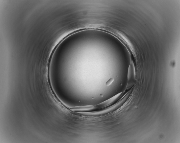 X0000099451340200805091458