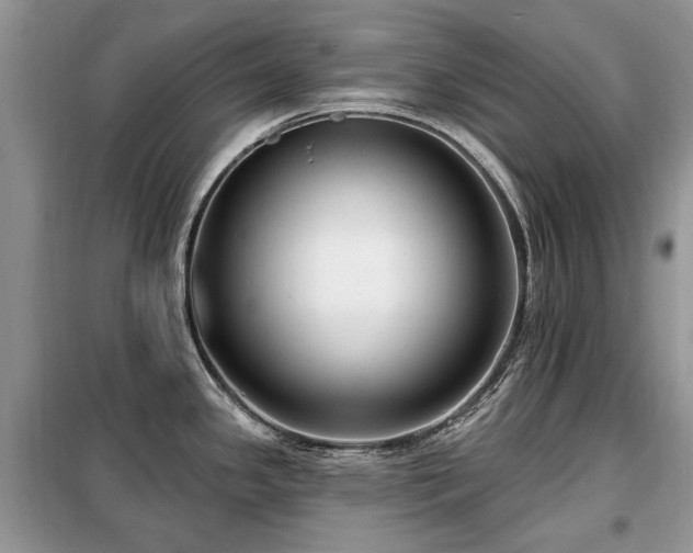 X0000099451341200805091458