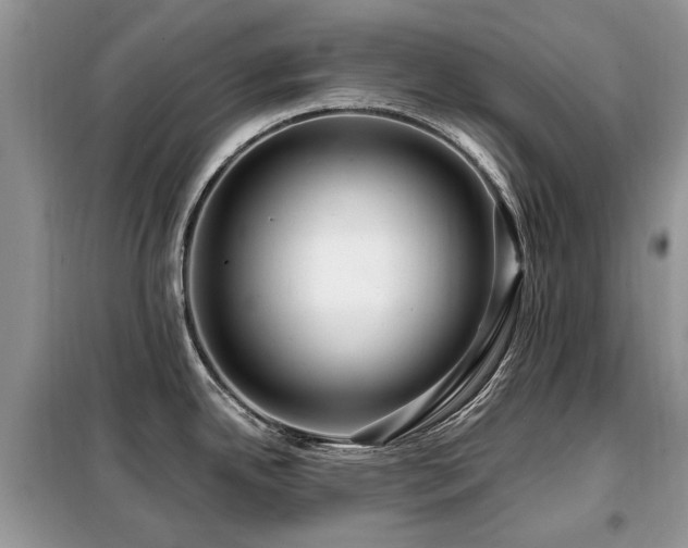 X0000099451342200805091458