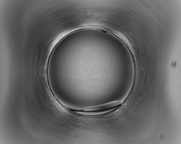 X0000099451344200805091458