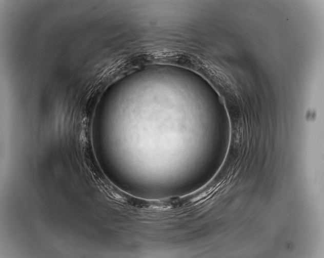 X0000099451346200805091457