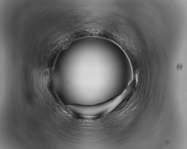 X0000099451347200805091457
