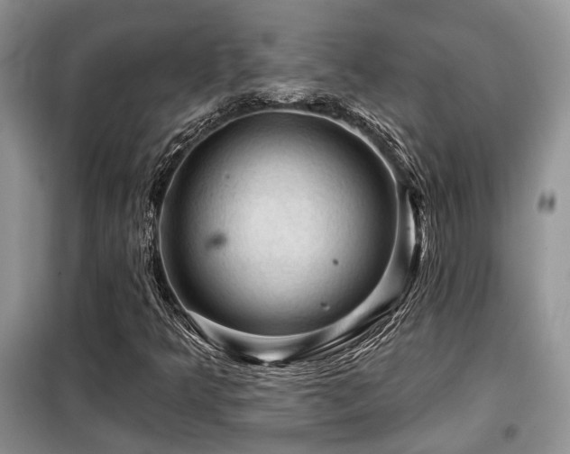X0000099451349200805091457