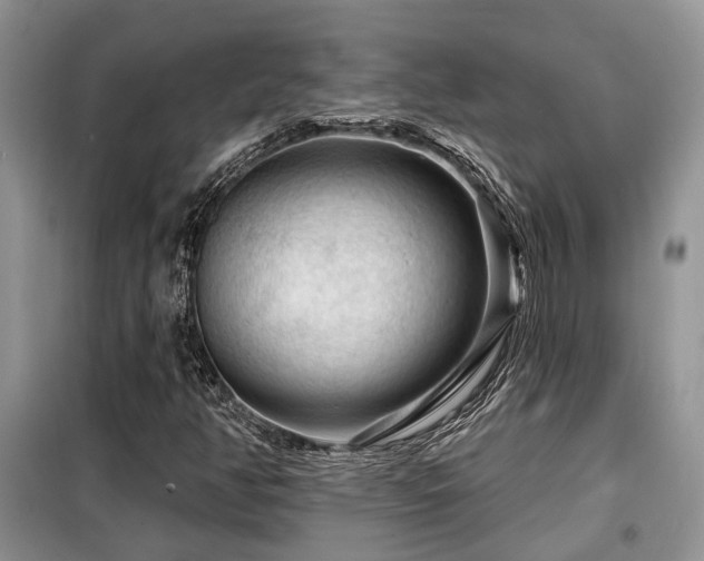 X0000099451350200805091457