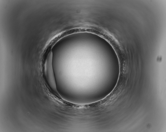 X0000099451352200805091457