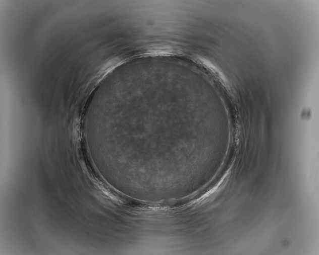 X0000099451353200805091457