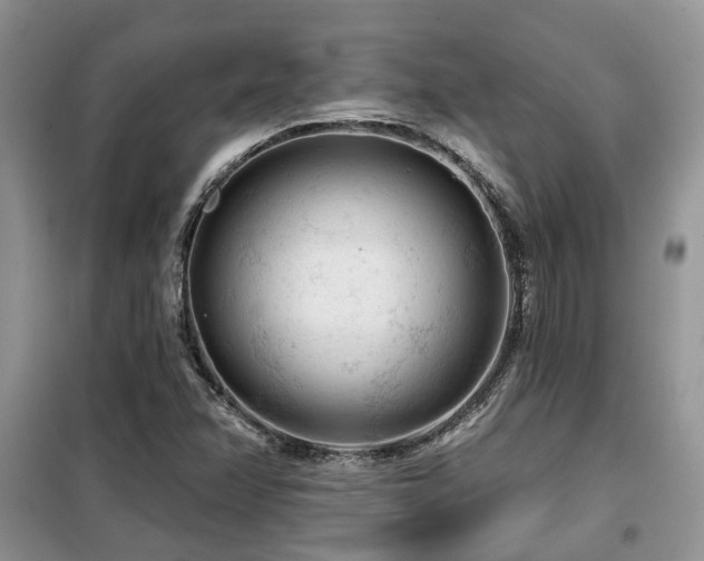 X0000099451358200805091457