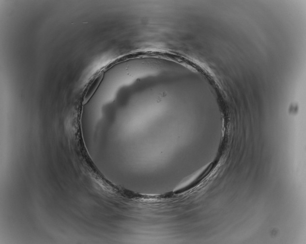 X0000099451359200805091457