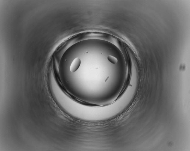 X0000099451360200805091457