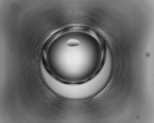 X0000099451361200805091457