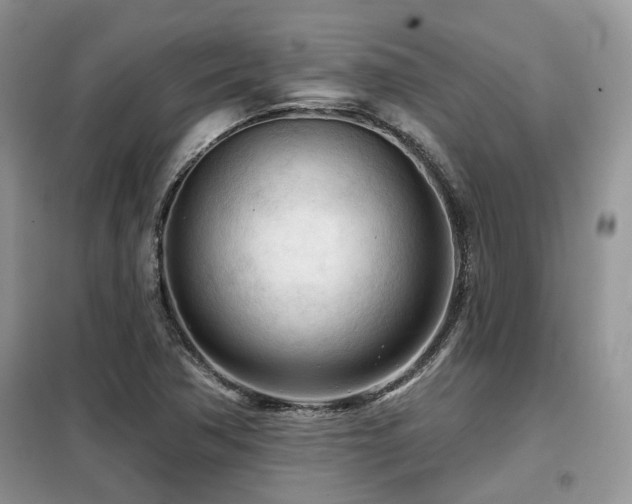 X0000099451362200805091457