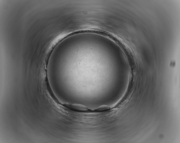 X0000099451363200805091457