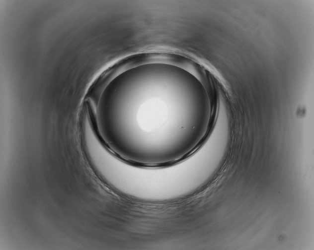 X0000099451364200805091457