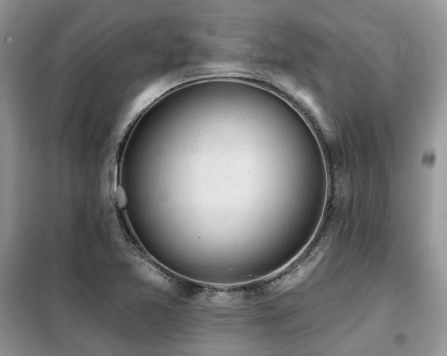 X0000099451365200805091457