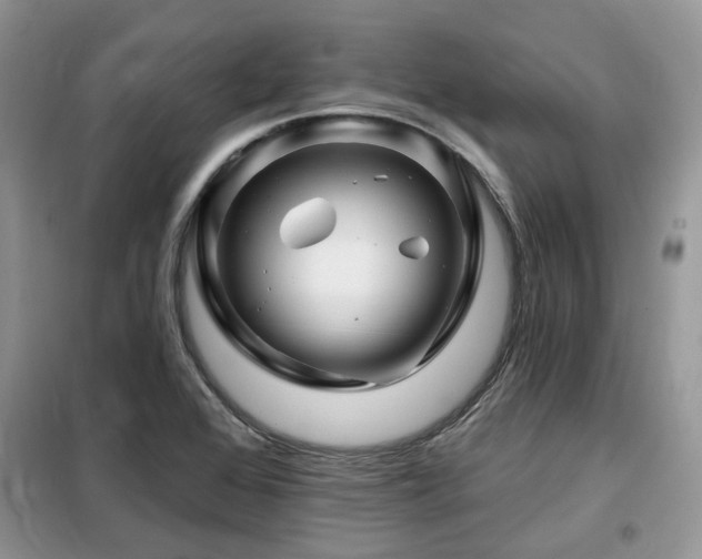 X0000099451368200805091457