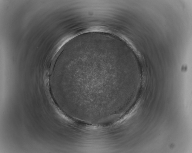 X0000099451369200805091457