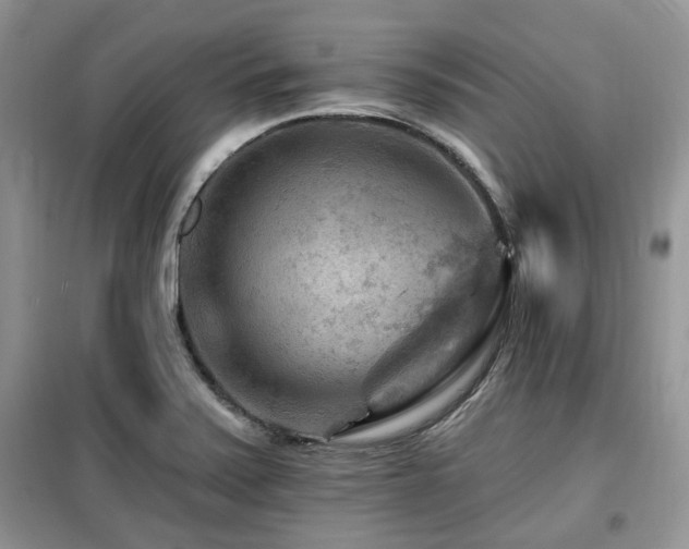 X0000099451371200805091457