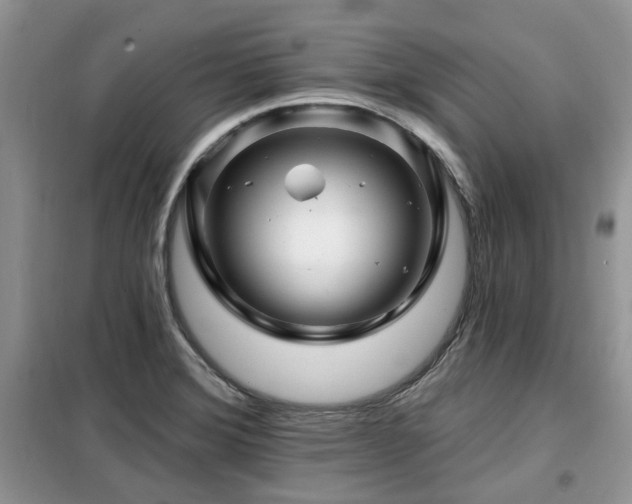 X0000099451372200805091457