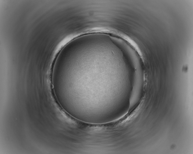 X0000099451373200805091457
