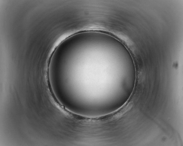 X0000099451374200805091457