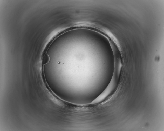 X0000099451376200805091456