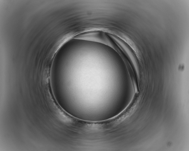 X0000099451377200805091456