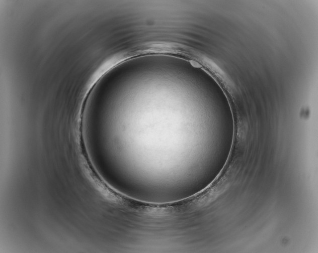 X0000099451378200805091456
