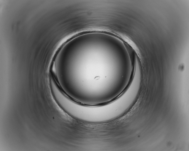 X0000099451380200805091456