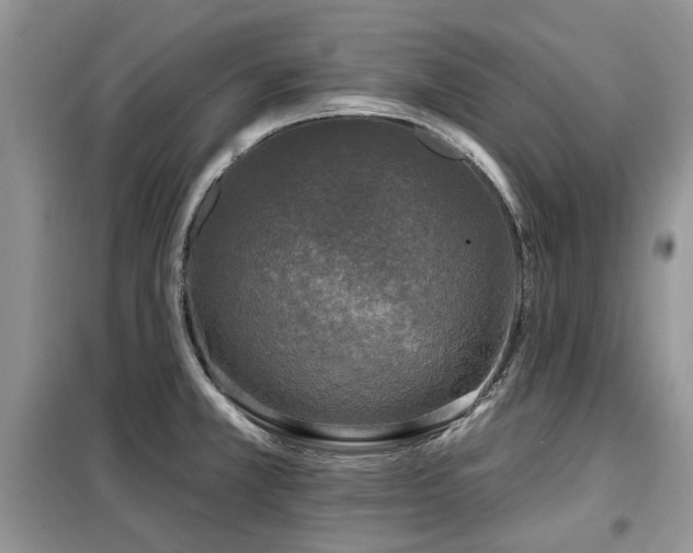X0000099451381200805091456