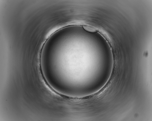 X0000099451382200805091456