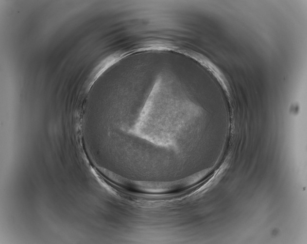 X0000099451385200805091456