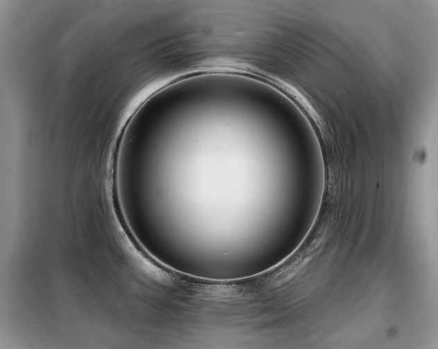 X0000099451387200805091456