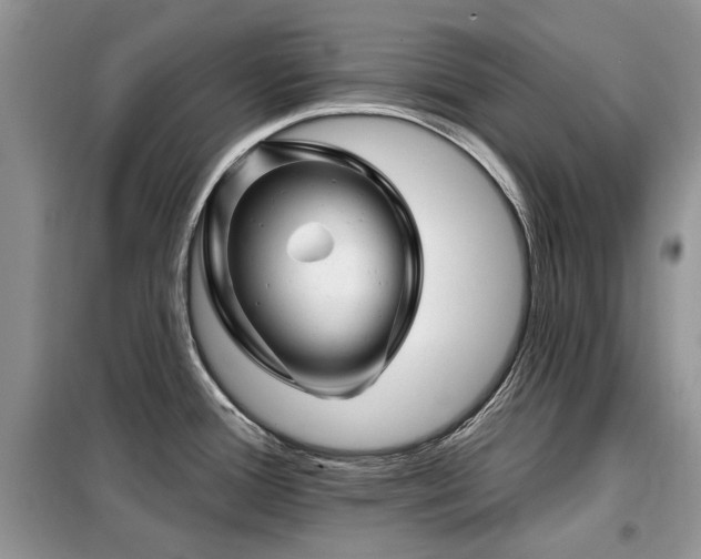 X0000099451388200805091456