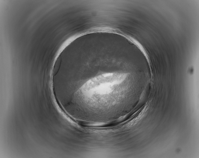 X0000099451389200805091456
