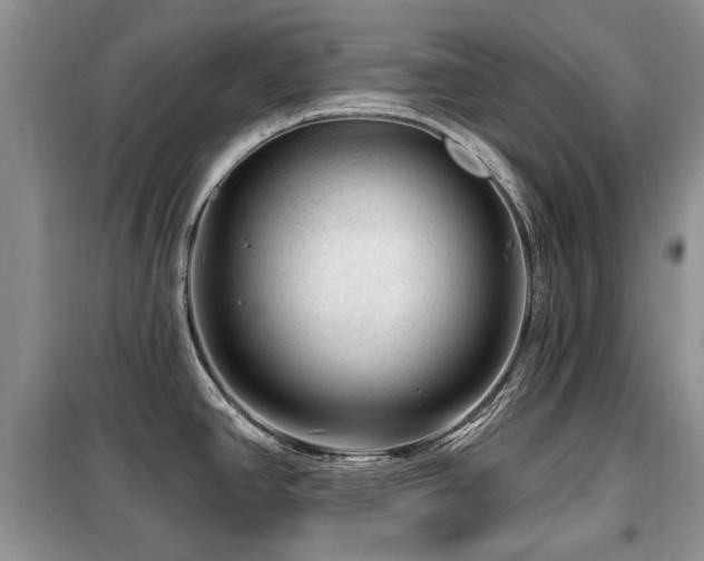 X0000099451390200805091456