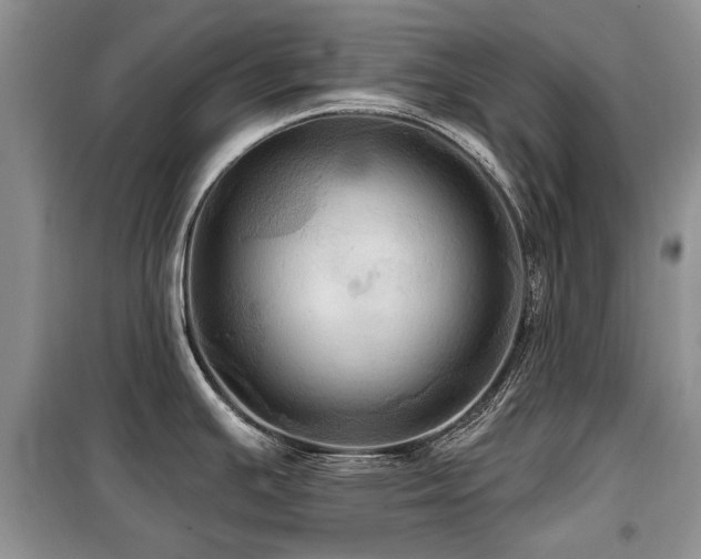 X0000099451391200805091456