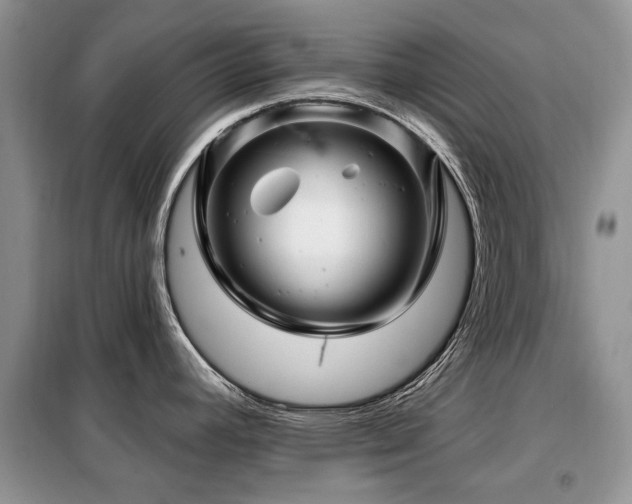 X0000099451392200805091456