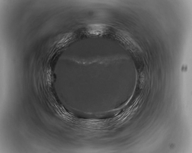 X0000099451394200805091456