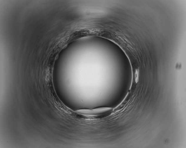 X0000099451395200805091456