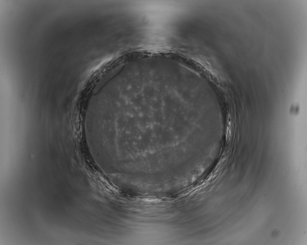 X0000099451398200805091456