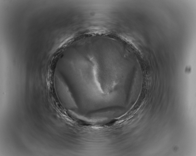 X0000099451399200805091456