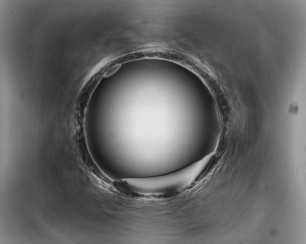 X0000099451400200805091456