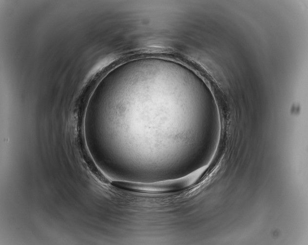 X0000099451402200805091456