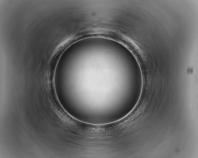 X0000099451403200805091456