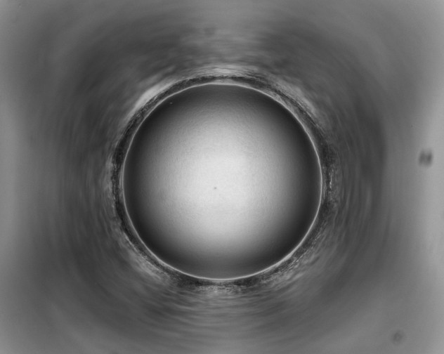 X0000099451404200805091456