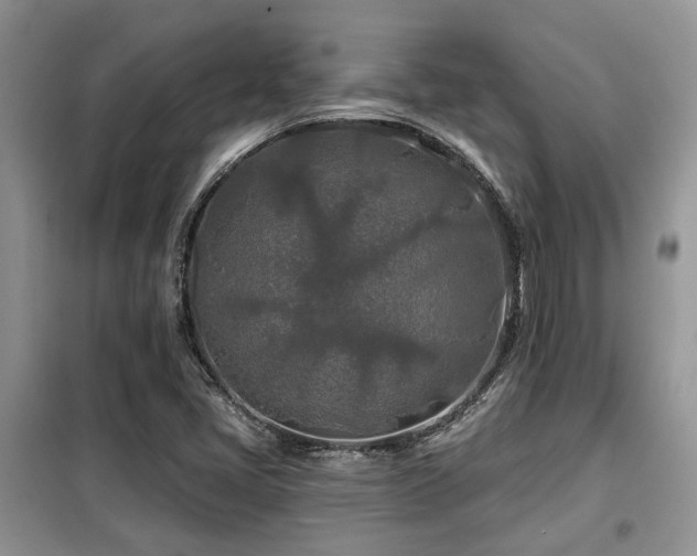 X0000099451405200805091456