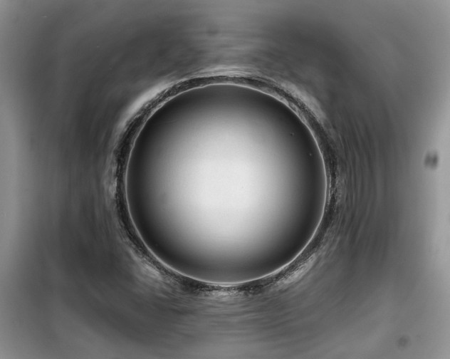 X0000099451406200805091456