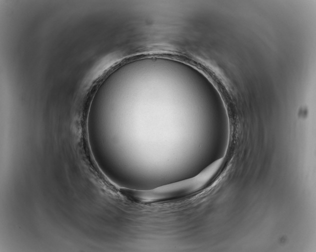 X0000099451407200805091456